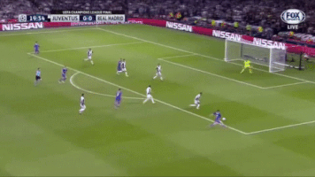 wesport  GIF