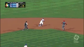 puerto rico tag GIF by MLB