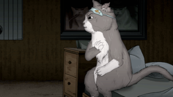 200.gif?cid=fc005b0803b7facda988d0a4d413ad398dc6c2a36eb98af3&rid=200.gif&ct=g