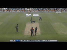 rnarakib tamim iqbal GIF
