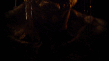 onursenturk offf2017ending GIF