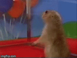 Louder  GIF