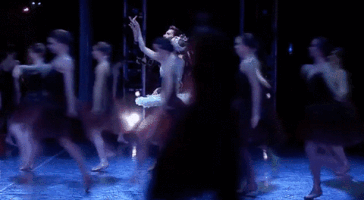 black swan dance GIF by New York City Ballet