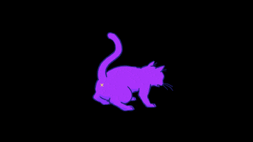 cat throw up GIF by Nicky Rojo