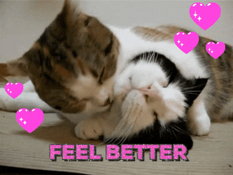 Feel Better Get Well GIF by chuber channel