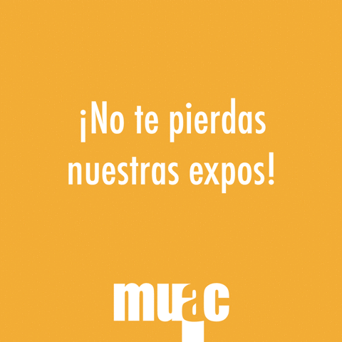 diegofigueroa-31a3  GIF