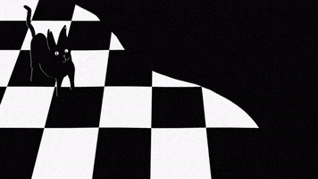 black and white wtf GIF by boy.betts