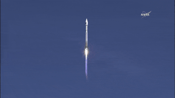irenechernuha  GIF