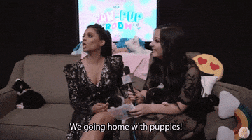 Adopt Lilly Singh GIF by Much