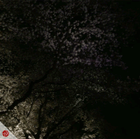 assistant  GIF