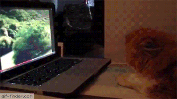 andersonferreirabeowulf  GIF