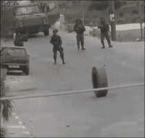 recepaltun  GIF