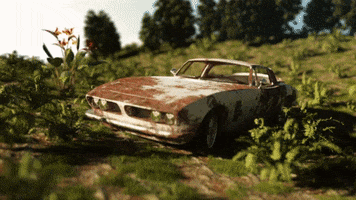 car bubble GIF by alessiodevecchi