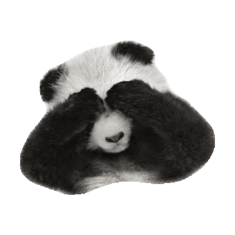 sleepy panda STICKER by imoji