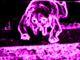200.gif?cid=fc005b08b2634b39be40334bad4c07fe411d2fb0bec042e9&rid=200.gif&ct=g