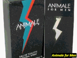 Propiedades  GIF