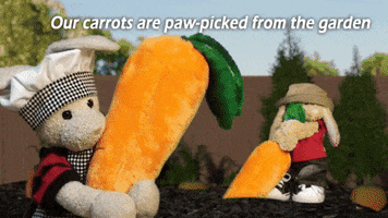 bunny carrots GIF by Zackary Rabbit