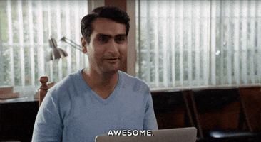 TV gif. Kumail Nanjiani as Dinesh in Silicon Valley sitting with computer in his lap, looks up, smiles, and says, "awesome."