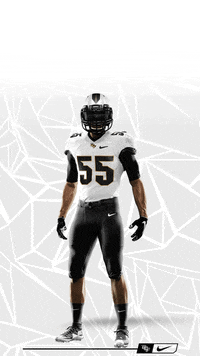 Football Wallpaper GIF by UCF Knights - Find & Share on GIPHY