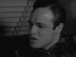 You Dont Understand Marlon Brando GIF by Top 100 Movie Quotes of All Time