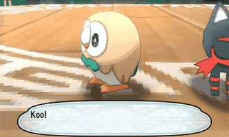 vinkaer pokã©mon sun and moon rowlet GIF