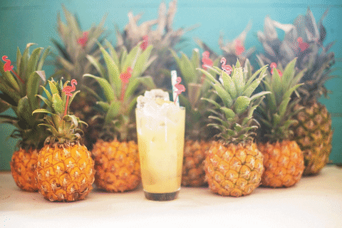 pineapple GIF by Malibu Rum