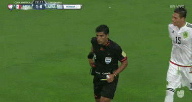 Copa America Centenario Referee GIF by Univision Deportes