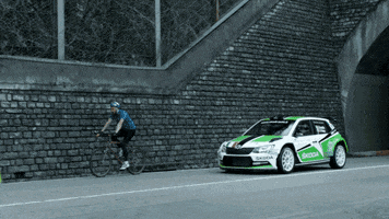 claudiacapuleti  GIF