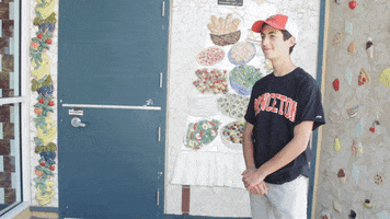 skimball  GIF