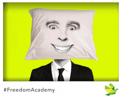 pillow freedom faces pillow GIF