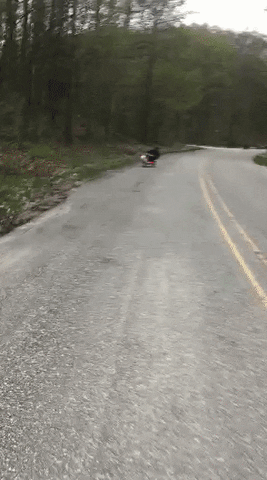 vertigopros michigan trike drift trike trikes GIF