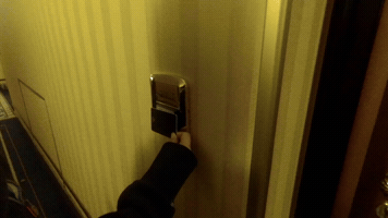 Donovandon  GIF