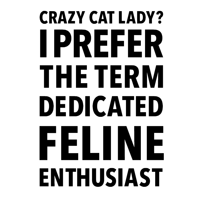 crazy cat lady gif
