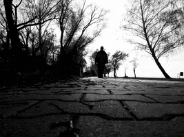 kilag white black black and white spring GIF