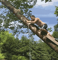 nuts lol GIF by America's Funniest Home Videos