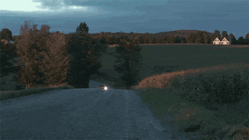 estudioabc ice cream cow road sorvete GIF