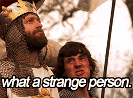 jonnelson monty python holy grail strange person GIF