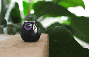 dryab ulo GIF