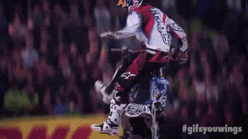 like a boss wow GIF by Red Bull