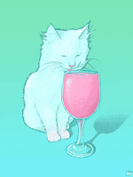 Good Vibes Drinking GIF by PHAZED