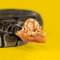 Humor Lol GIF by Lance Ford - Find & Share on GIPHY Humor Lol GIF by Lance Ford - Find & Share on GIPHY