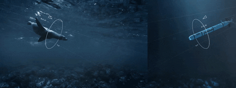 tore  GIF