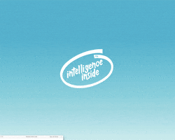 sander  GIF