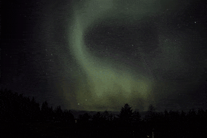 pepahorak aurora GIF