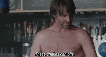 200.gif?cid=fc005b08916ca0a3a863f6f936c770eb9dcbf453d4a97326&rid=200.gif&ct=g