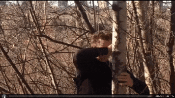 nn  GIF