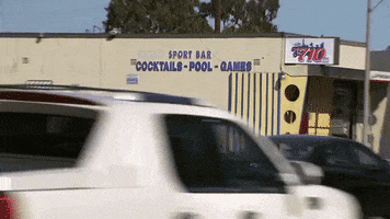 GIF by Nathan For You
