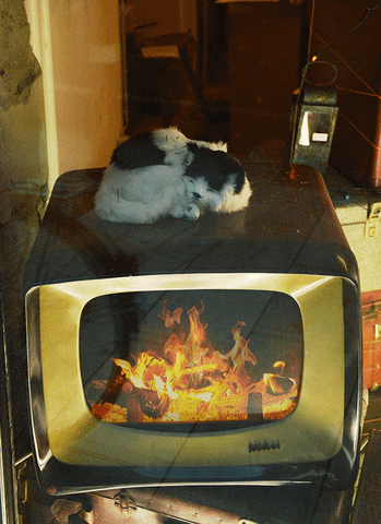 ninamercy cat flame GIF