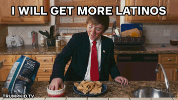 Donald Trump GIF by fularious