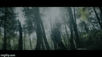 bs scott helman GIF